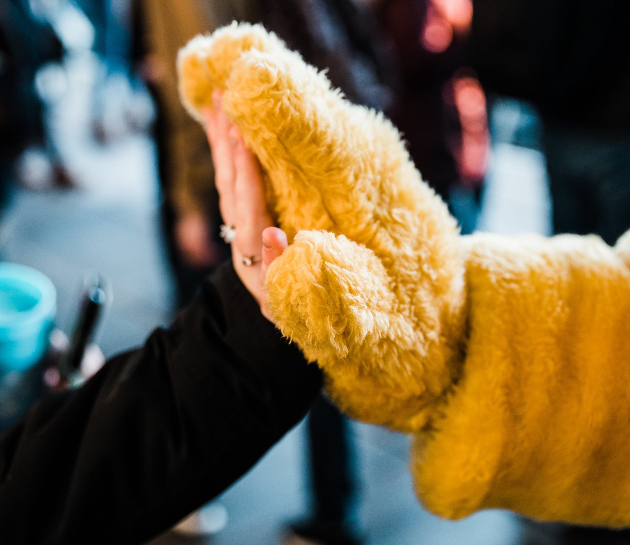 Pudsey Bear giving five.