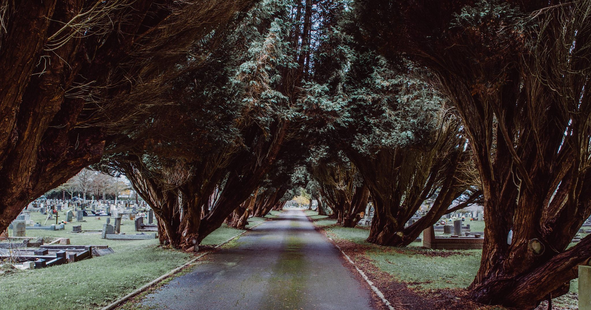 Cemetery.